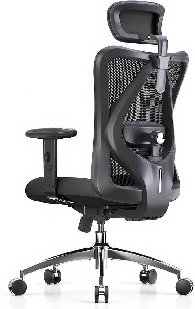 Ergonomic Home Office Chair & Desk Comfort Essentials: Top Amazon Picks for Central Florida Remote Workers cover photo collage