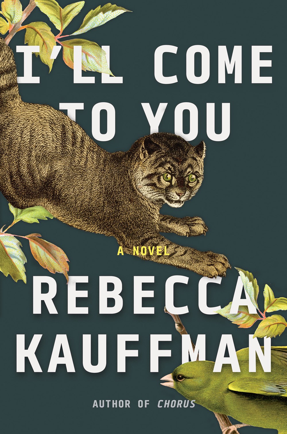 Get Free - Thoughtful family dramas for fans of I'll Come to You: a novel cover photo collage