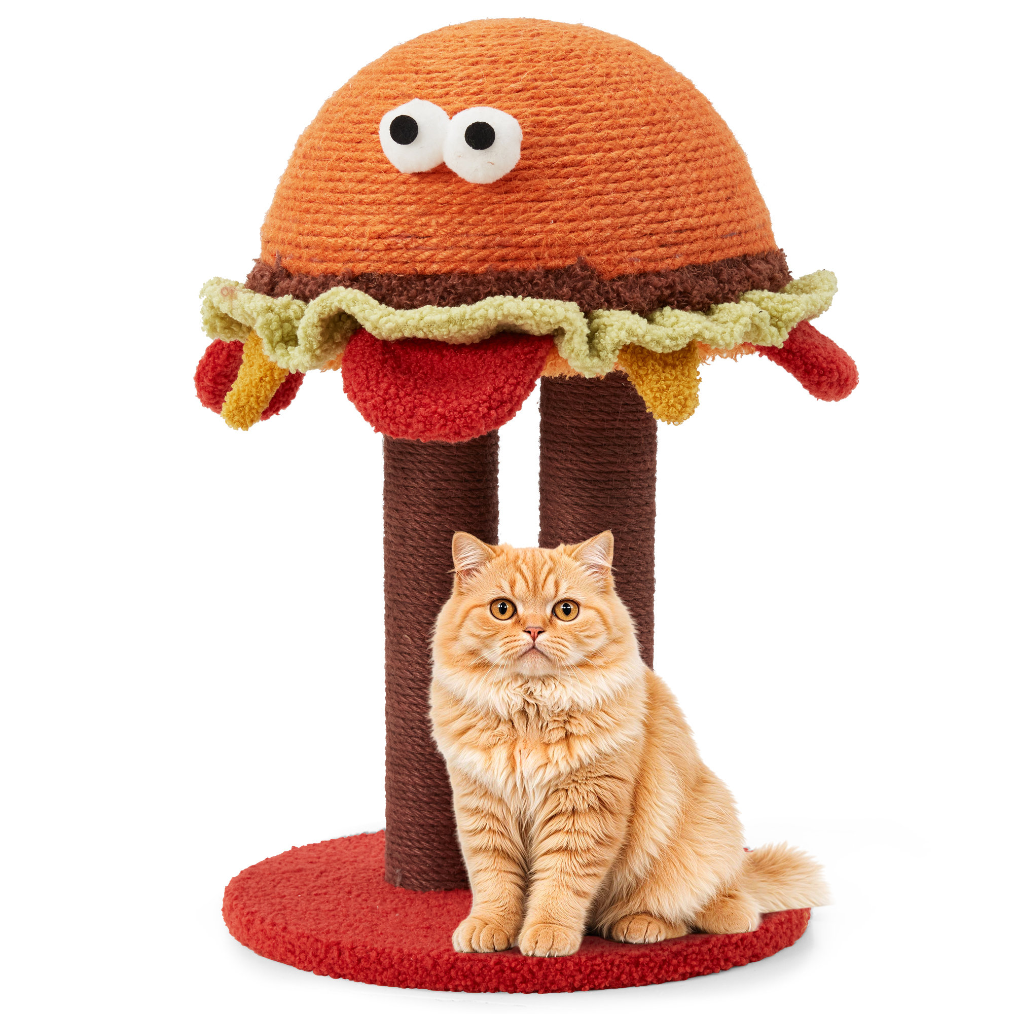 All the quirky things my cat needs- toys, beds and more! cover photo collage