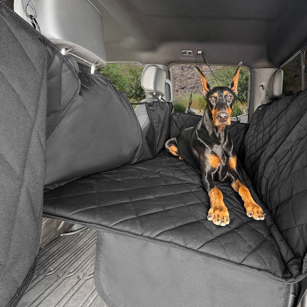 Built for Big Dogs: Gear That Survives Super Chewers cover photo collage