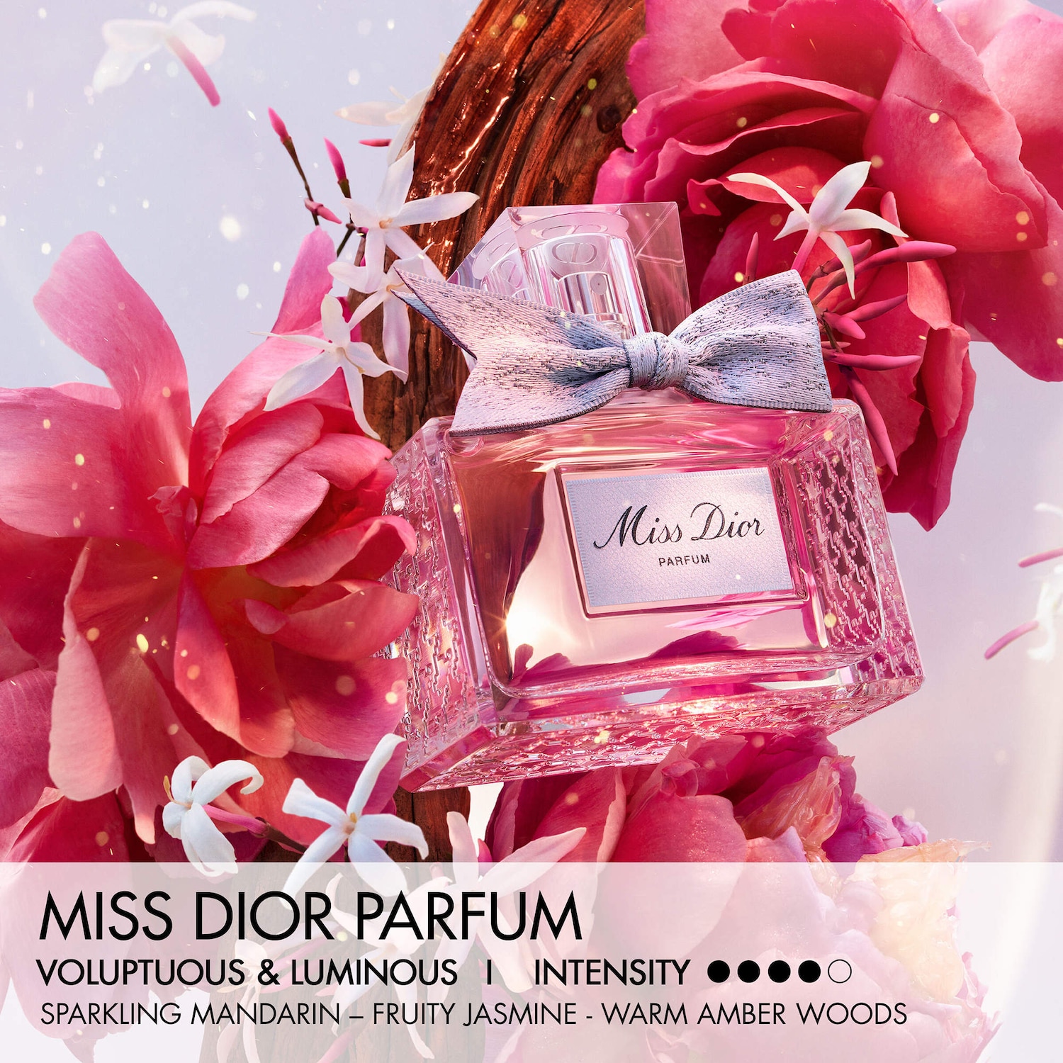 Fragrances I adore ❤️ cover photo collage