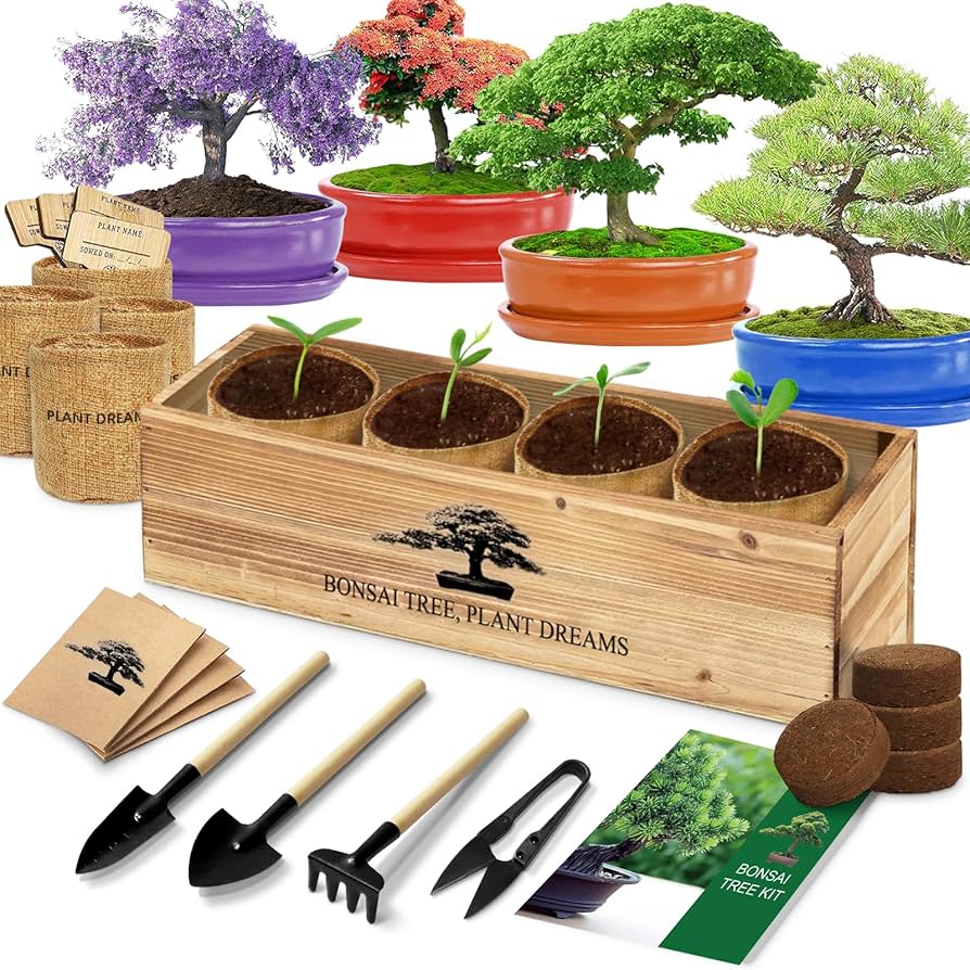 Bonsai Tree Starter Kit Essentials: Top Amazon Picks for Central Florida Gardeners cover photo collage