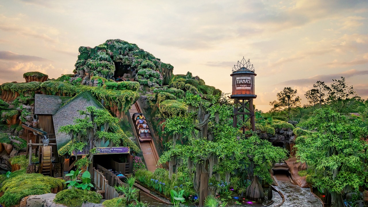Magic Kingdom Tips, Tricks & Hacks: A Local's Guide to Saving Time & Money at Disney World cover photo collage