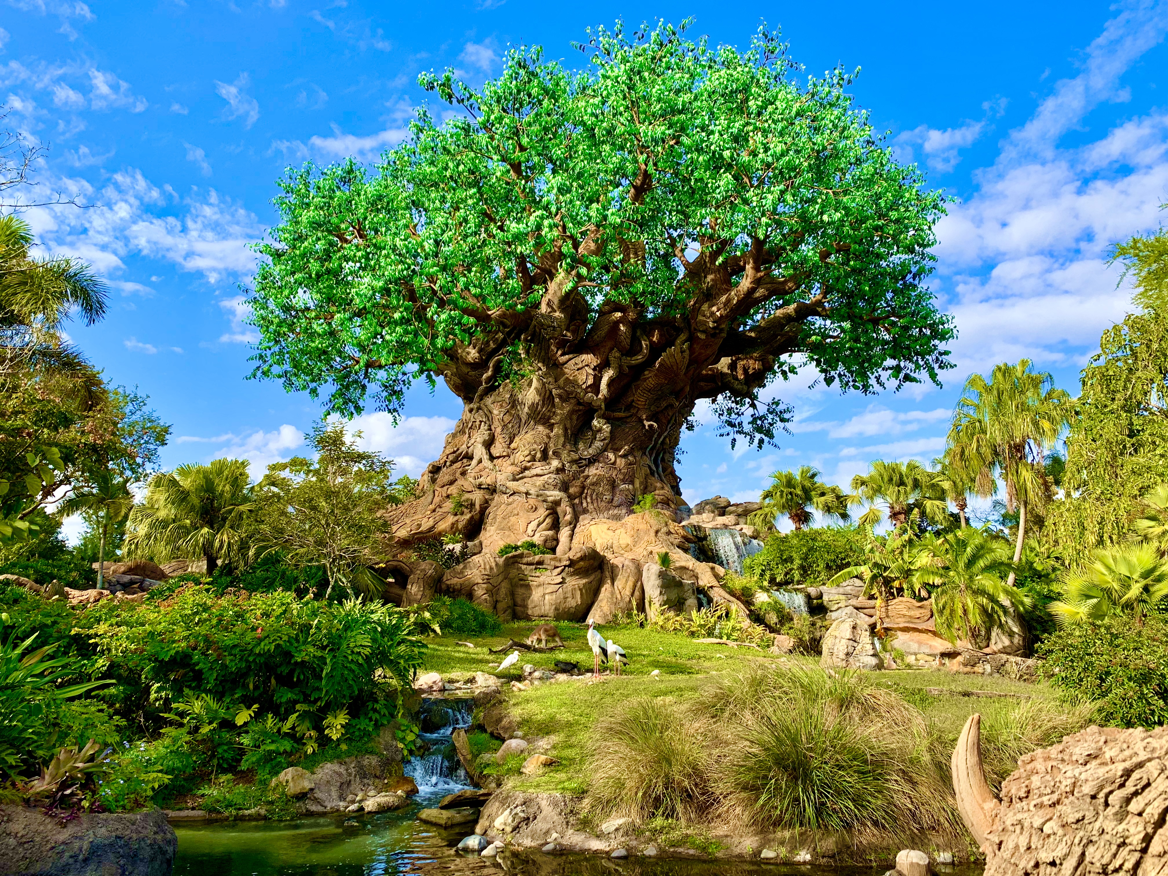 Animal Kingdom Tips, Tricks & Hacks: A Local's Guide to Doing Disney's Wildest Park Right cover photo collage