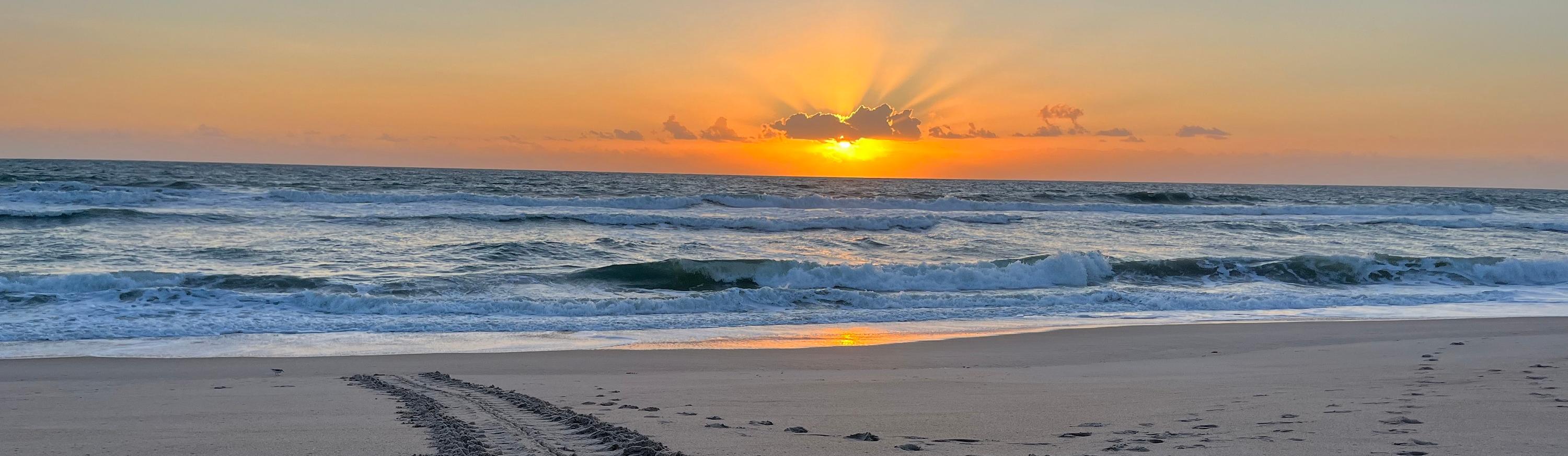 New Smyrna Beach Day Trip Guide: Best Things to Do, Eat & See in Florida's Surf City cover photo collage