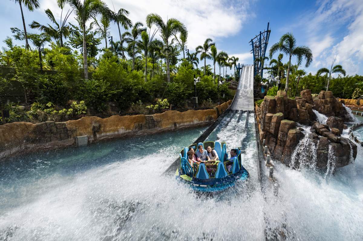 SeaWorld Orlando Must-Do Rides & Attractions: A Local's Guide to Orlando's Marine Adventure Park cover photo collage