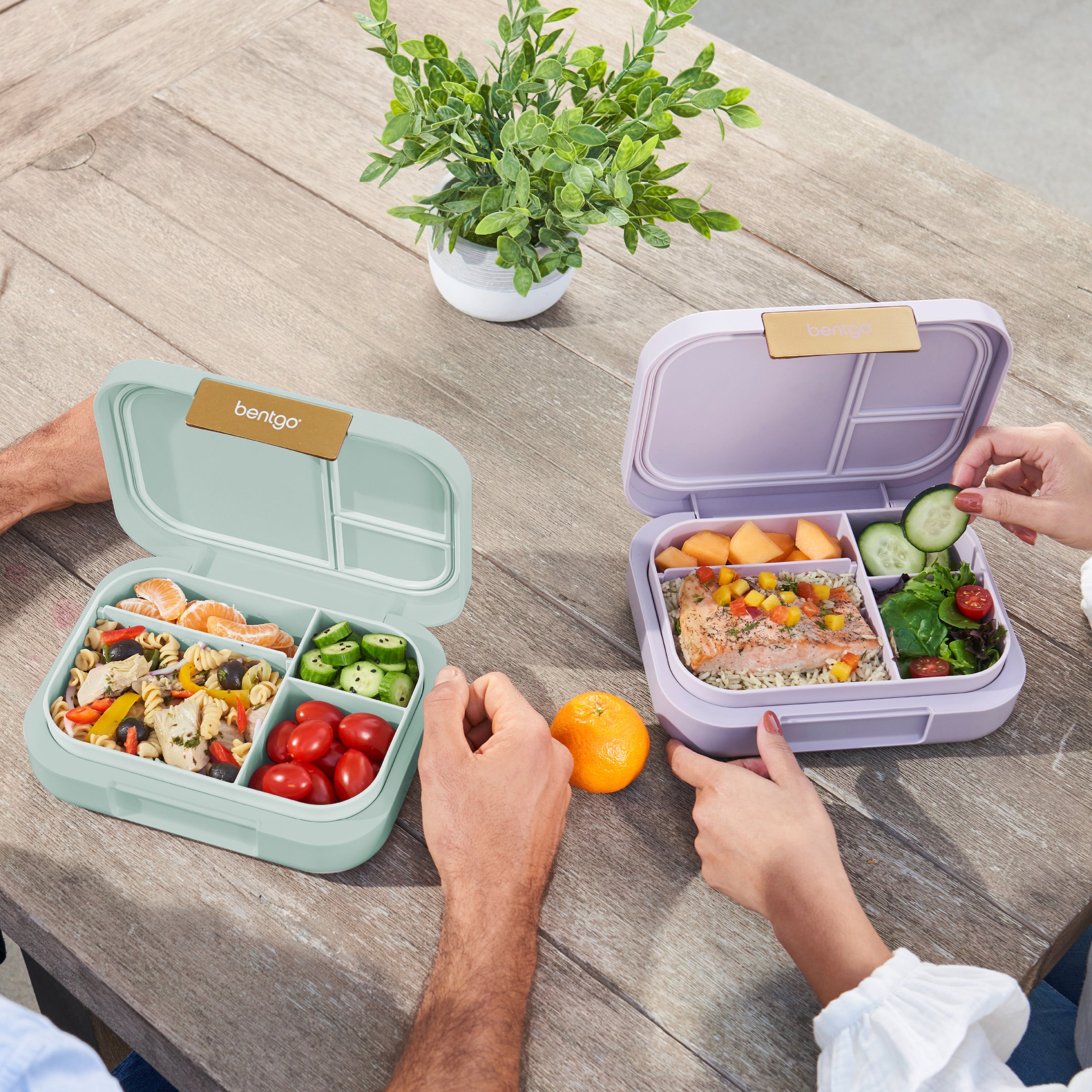 Meal Prep & Lunchbox Gear That Survives Real Life cover photo collage