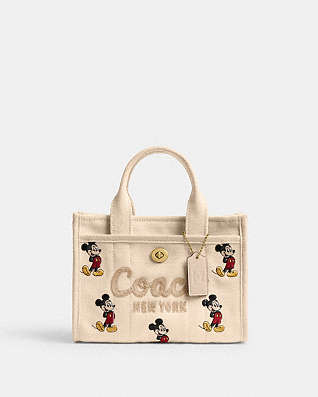 Coach x Disney Collab cover photo collage