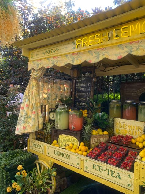 Strolling the Farmers Market cover photo collage