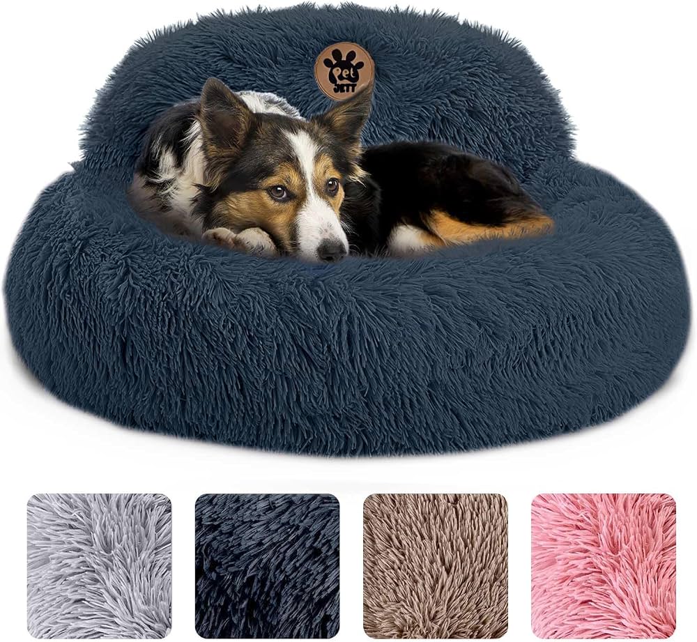 Dog Mom Essentials: Everything My Pup Actually Uses cover photo collage
