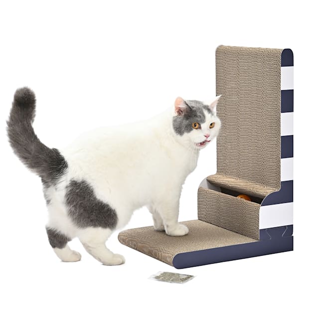 Minimalist cat buys that are worth it cover photo collage