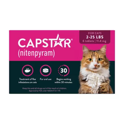 Must-Have Cat Health Products cover photo collage