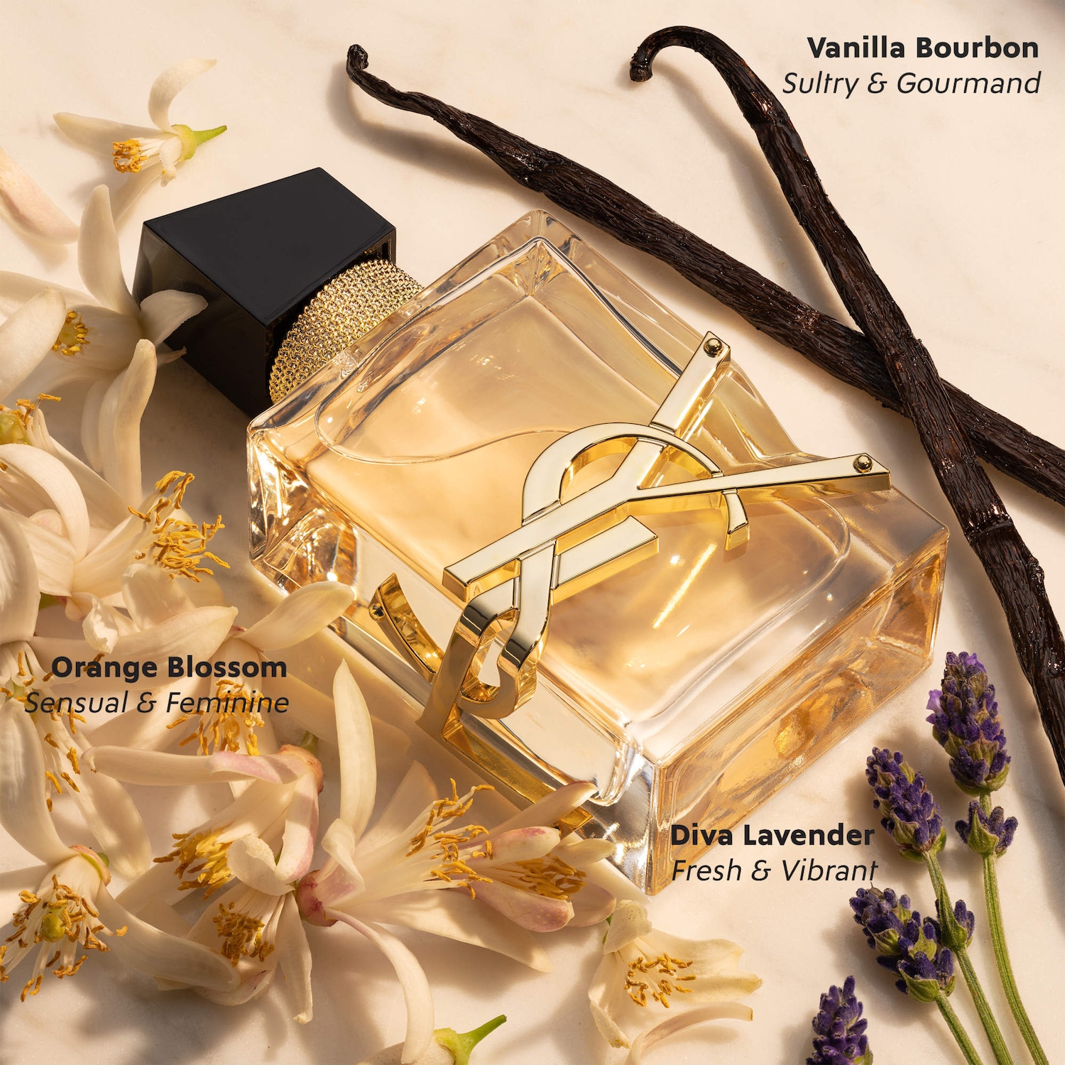 Luxury Perfumes for Women That Smell Expensive & Last 🌸✨ cover photo collage