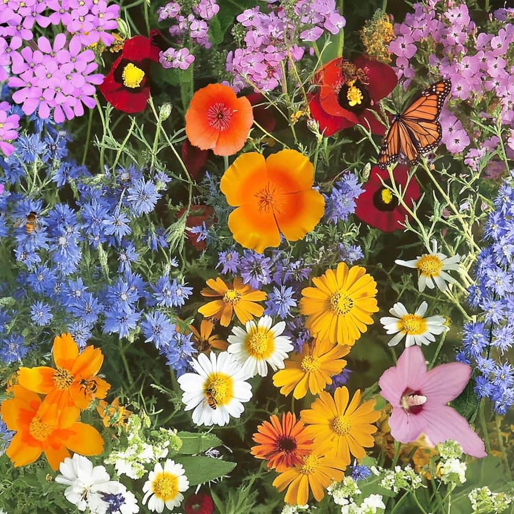 Gardening & Outdoor Products cover photo collage