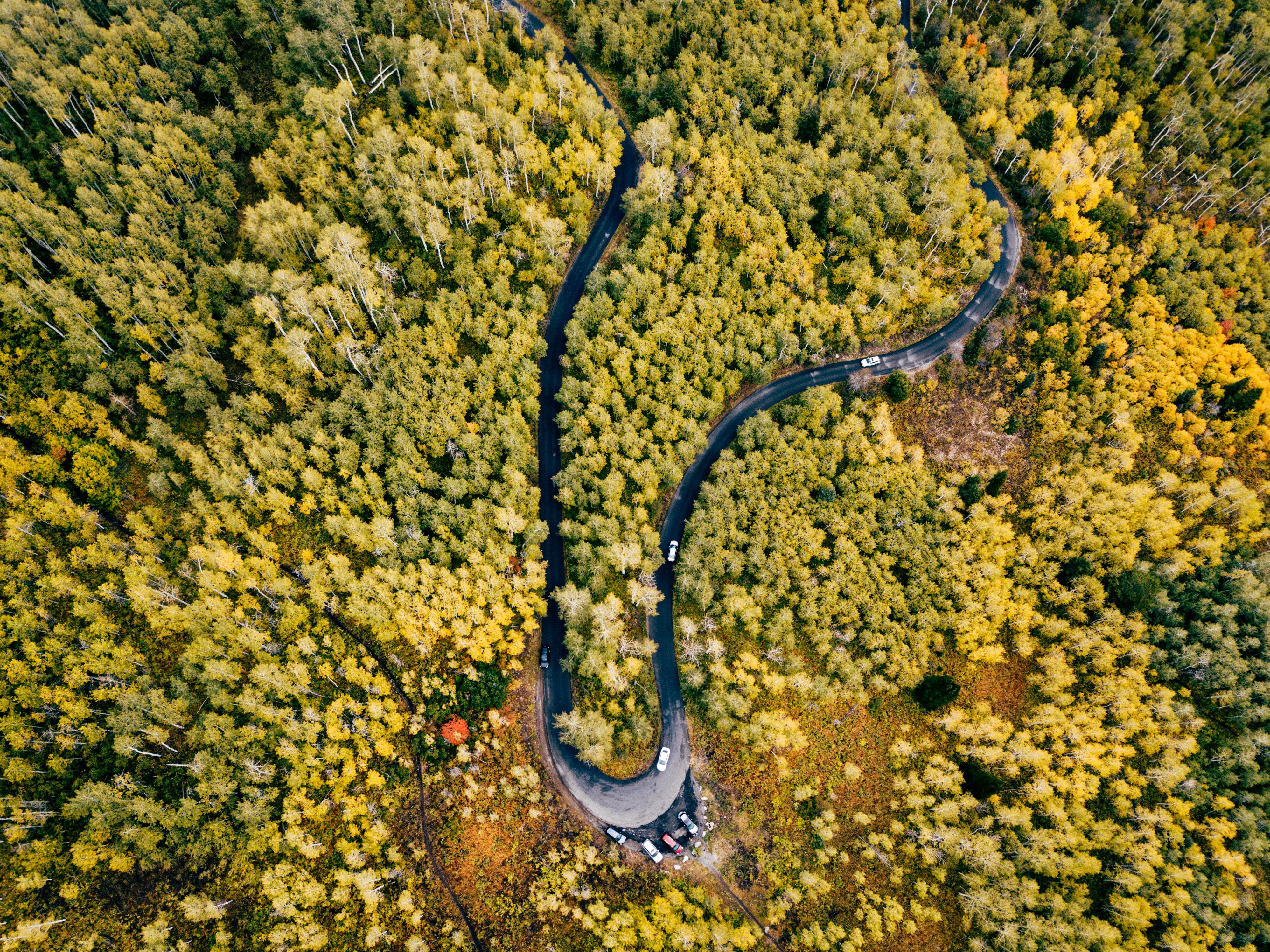 Where should you actually drive to see fall colors this year? cover photo collage