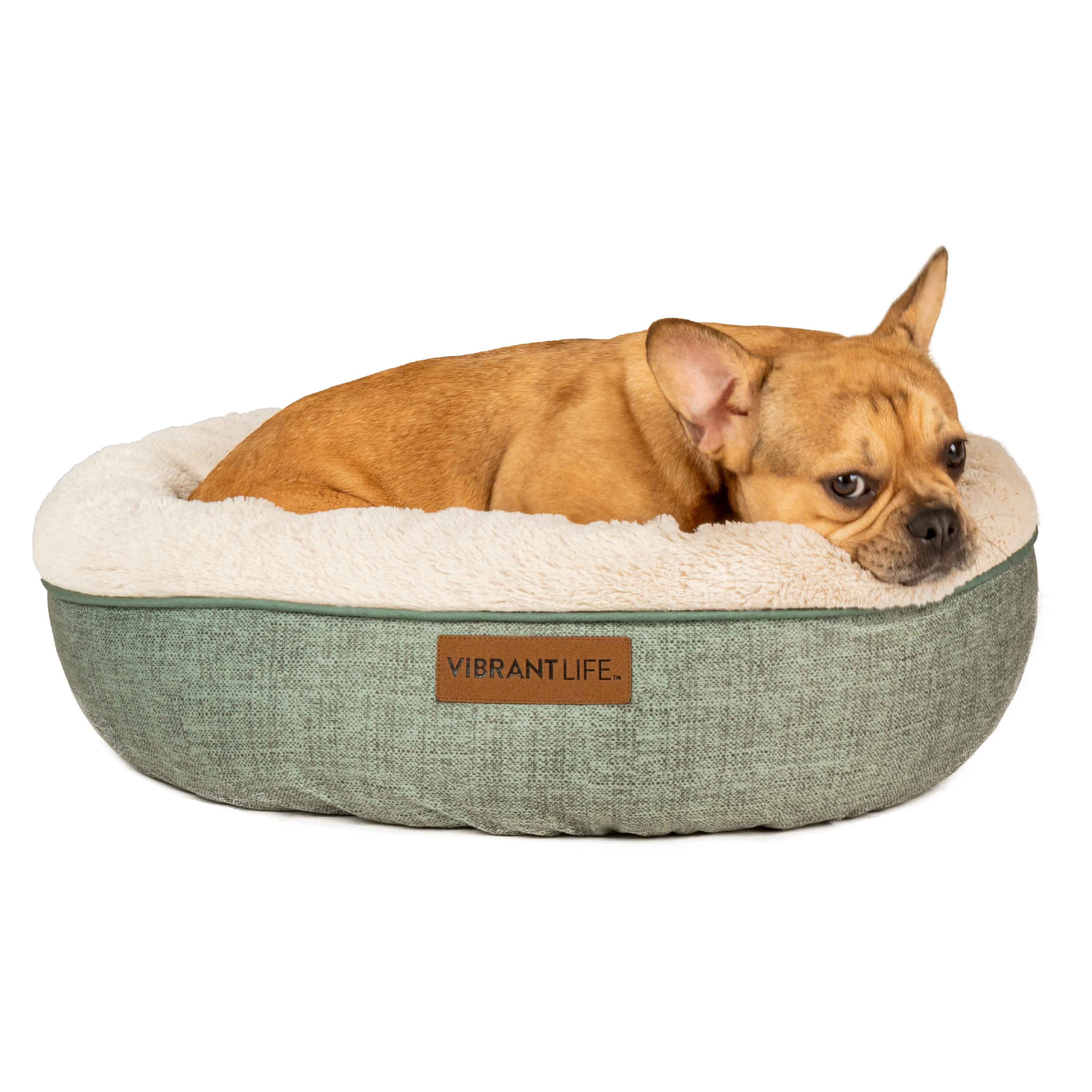 pet food and toys that your pets would love to have cover photo collage