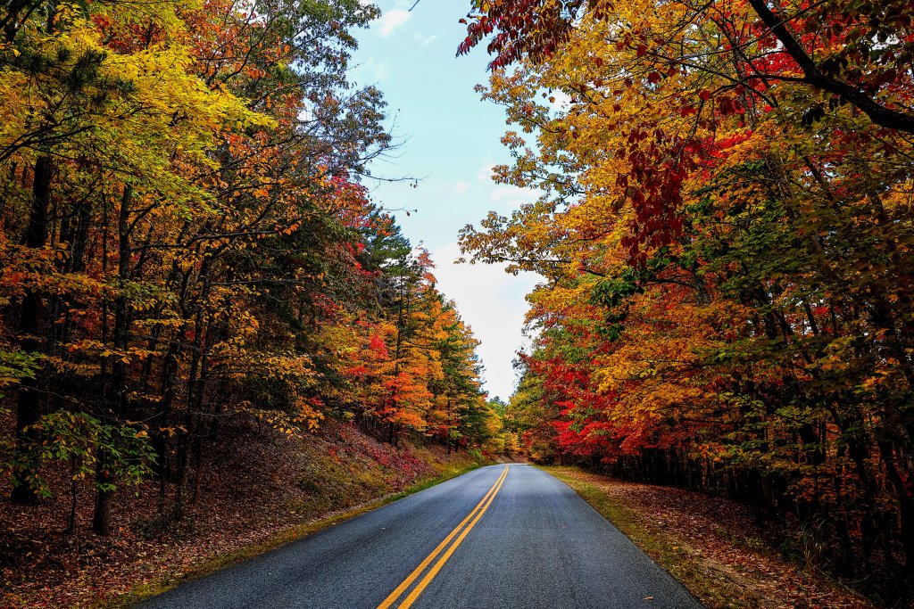 My favorite Virginia Parks include the Blue Ridge Parkway, Skyline Drive, National Forests, and my local parks. cover photo collage