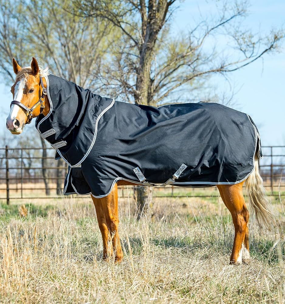My recommended Equestrian Winter must haves🌟 cover photo collage