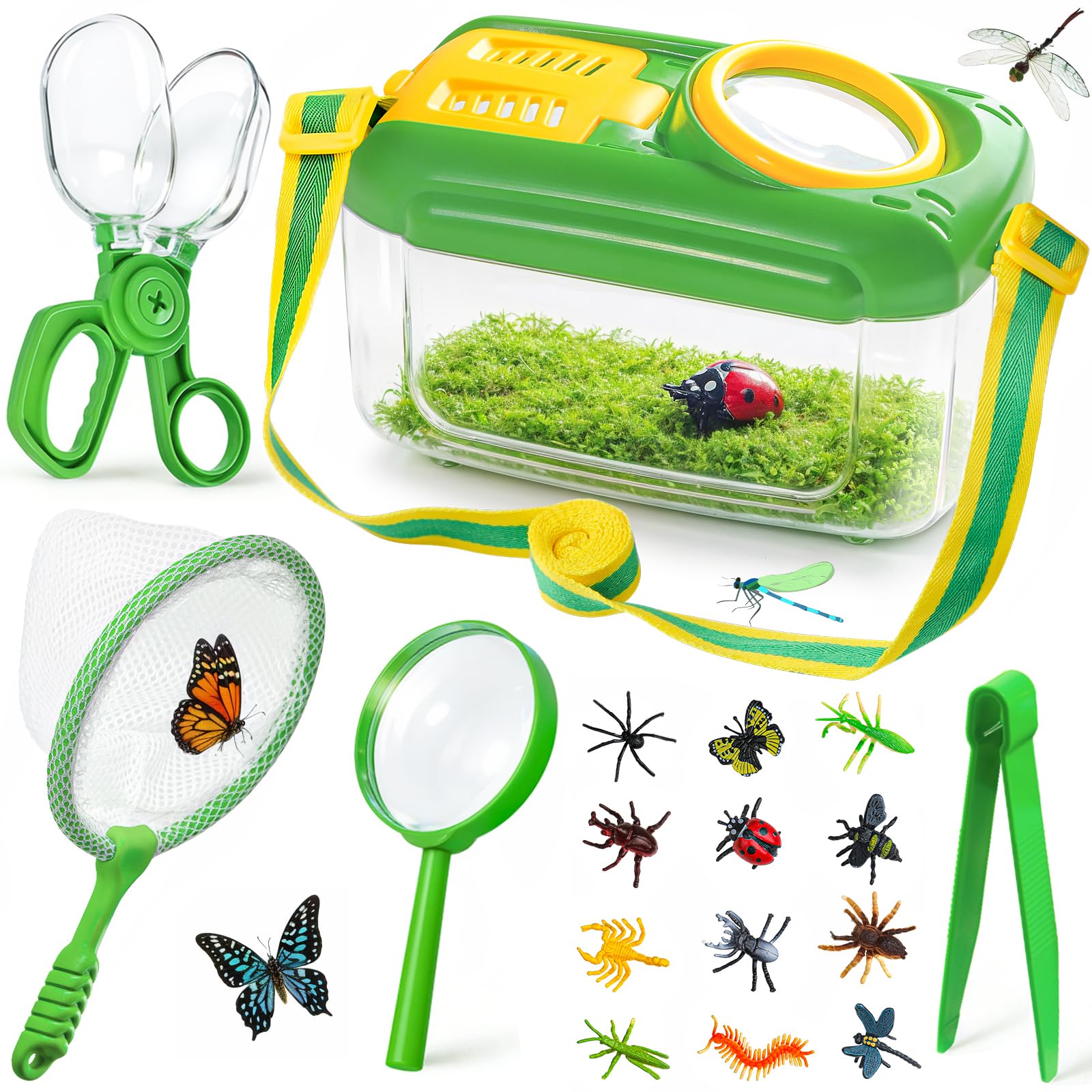 Everything You Need for a Nature Explorer Week Play Shelf: 3 & 4 Year-Old Toy Rotation & Activities! 🔍🐞🐦‍⬛ cover photo collage