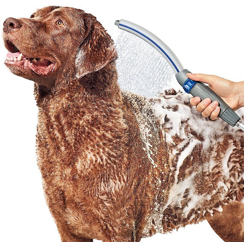 Cleaning Products That Actually Work in a Pet-Filled Home cover photo collage