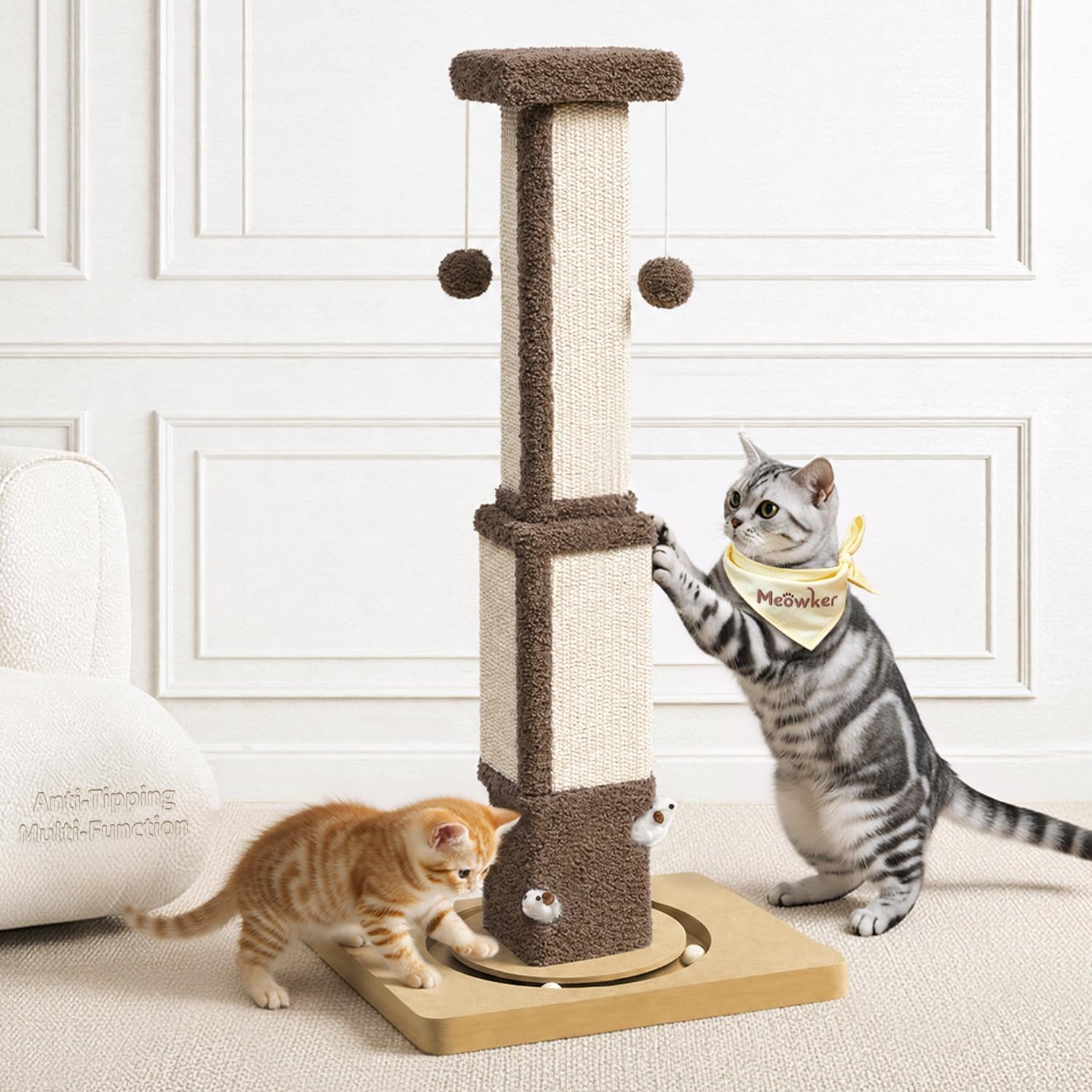 Fun things for cats cover photo collage