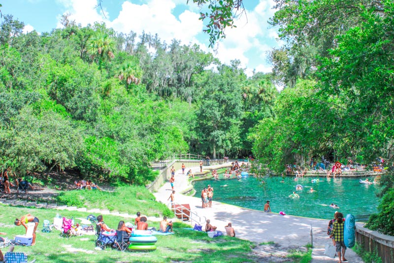 Wekiwa Springs & Rock Springs Day Trip Guide: Orlando's Best Natural Springs, Tubing & Kayaking cover photo collage