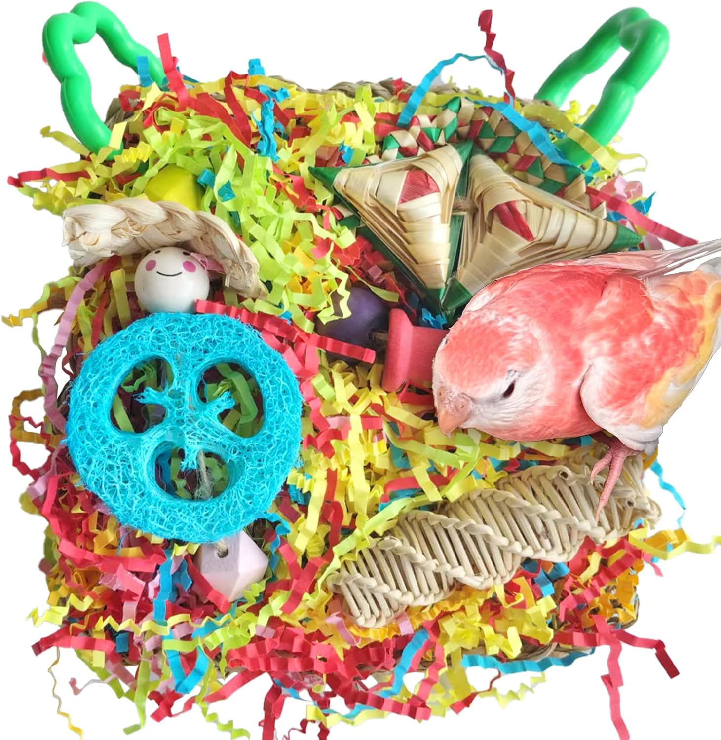 The Ultimate Guide to Bird Toys & Habitat Essentials cover photo collage