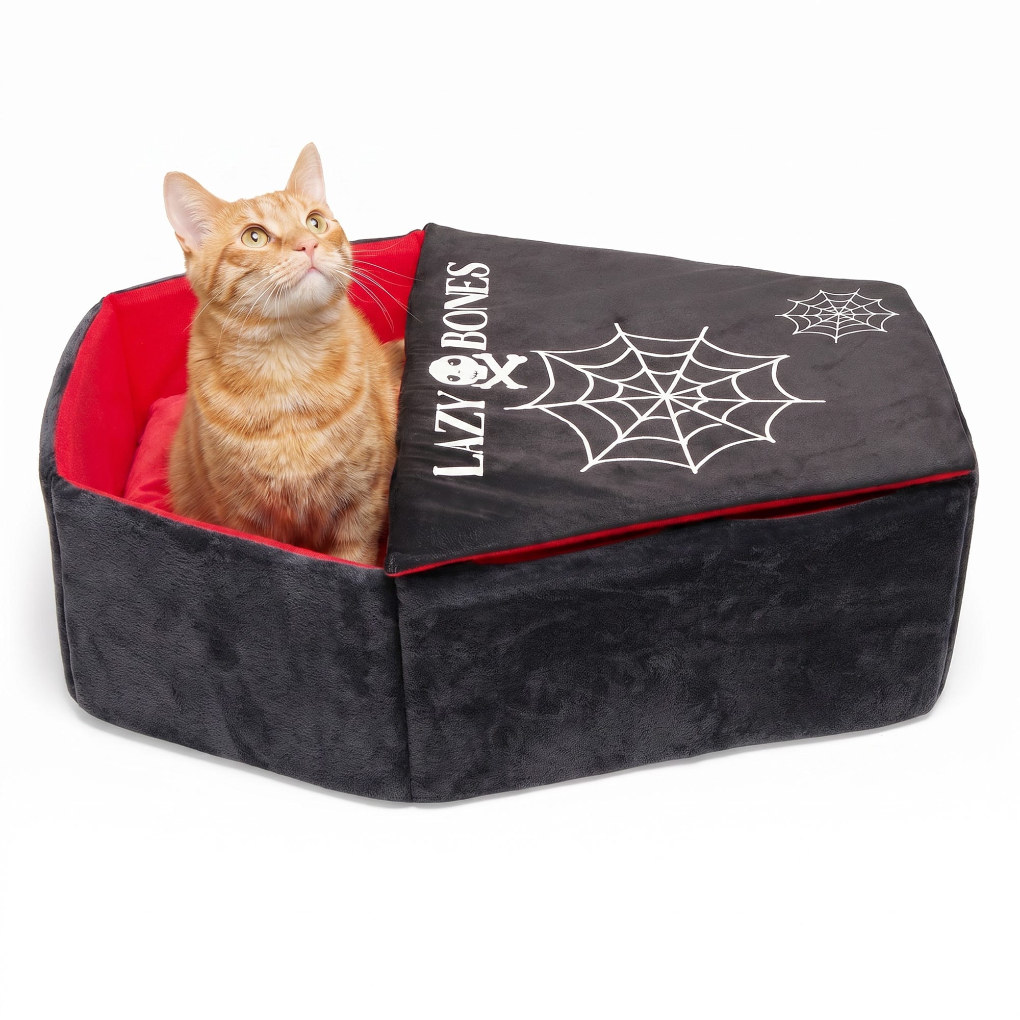 The Halloween Cat Collection: Gothic & Halloween Cat Furniture, Toys, Scratchers & Beds cover photo collage