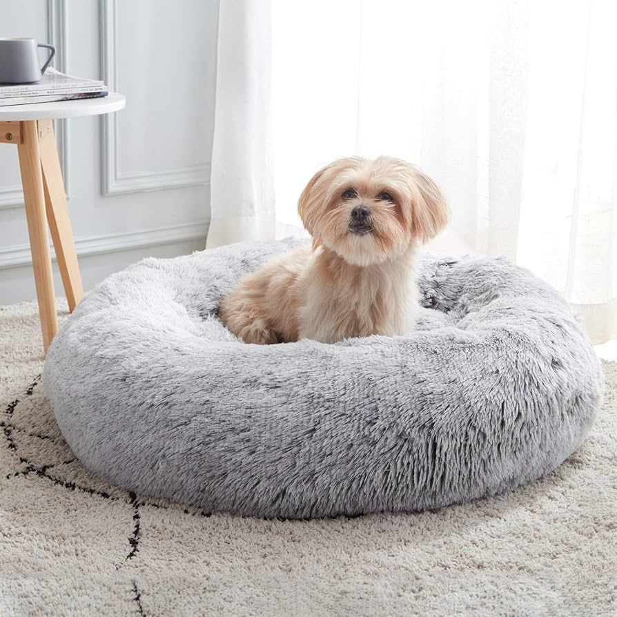 15 Apartment-Friendly Pet Must-Haves for Small Spaces (Cleaning, Beds, Travel Under $50 & Feeding) - Tested cover photo collage