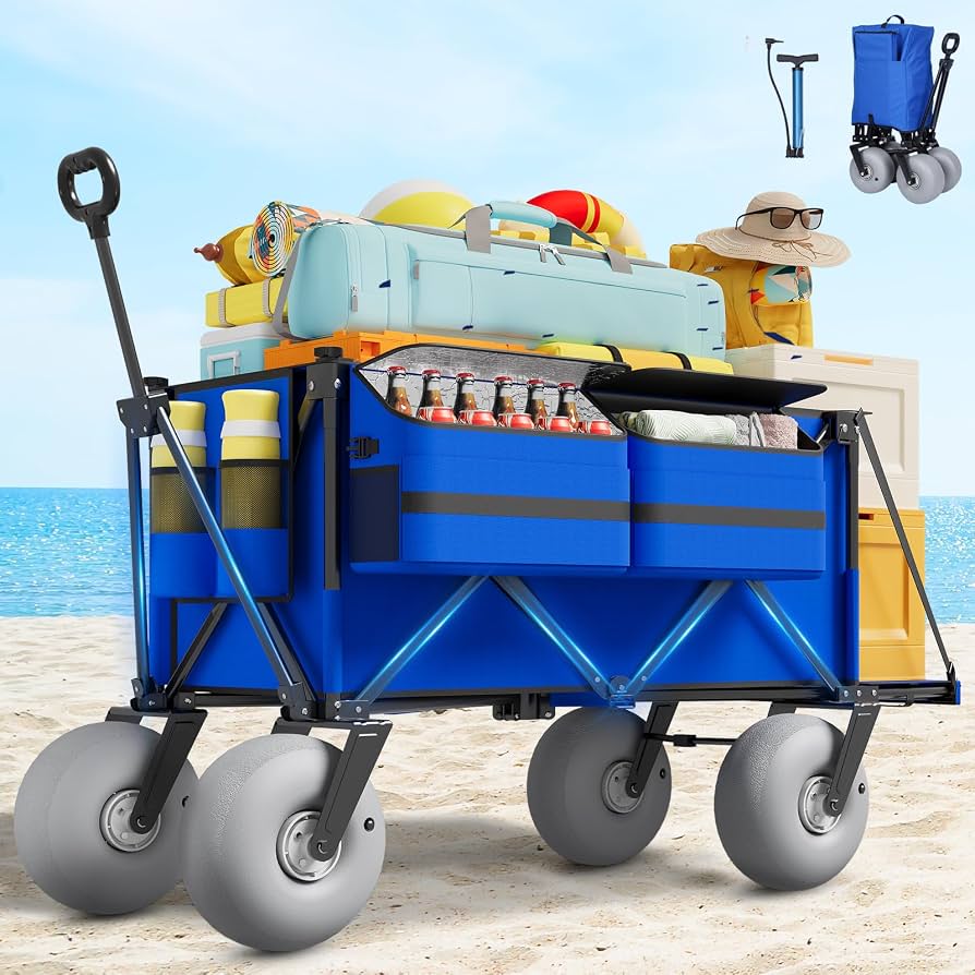 Picnic Essentials for Florida Parks & Lakes: Top Amazon Picks cover photo collage