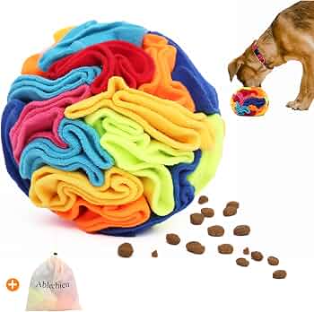 🐾 Practical Pet Finds for Everyday Life
🐶🐱 cover photo collage