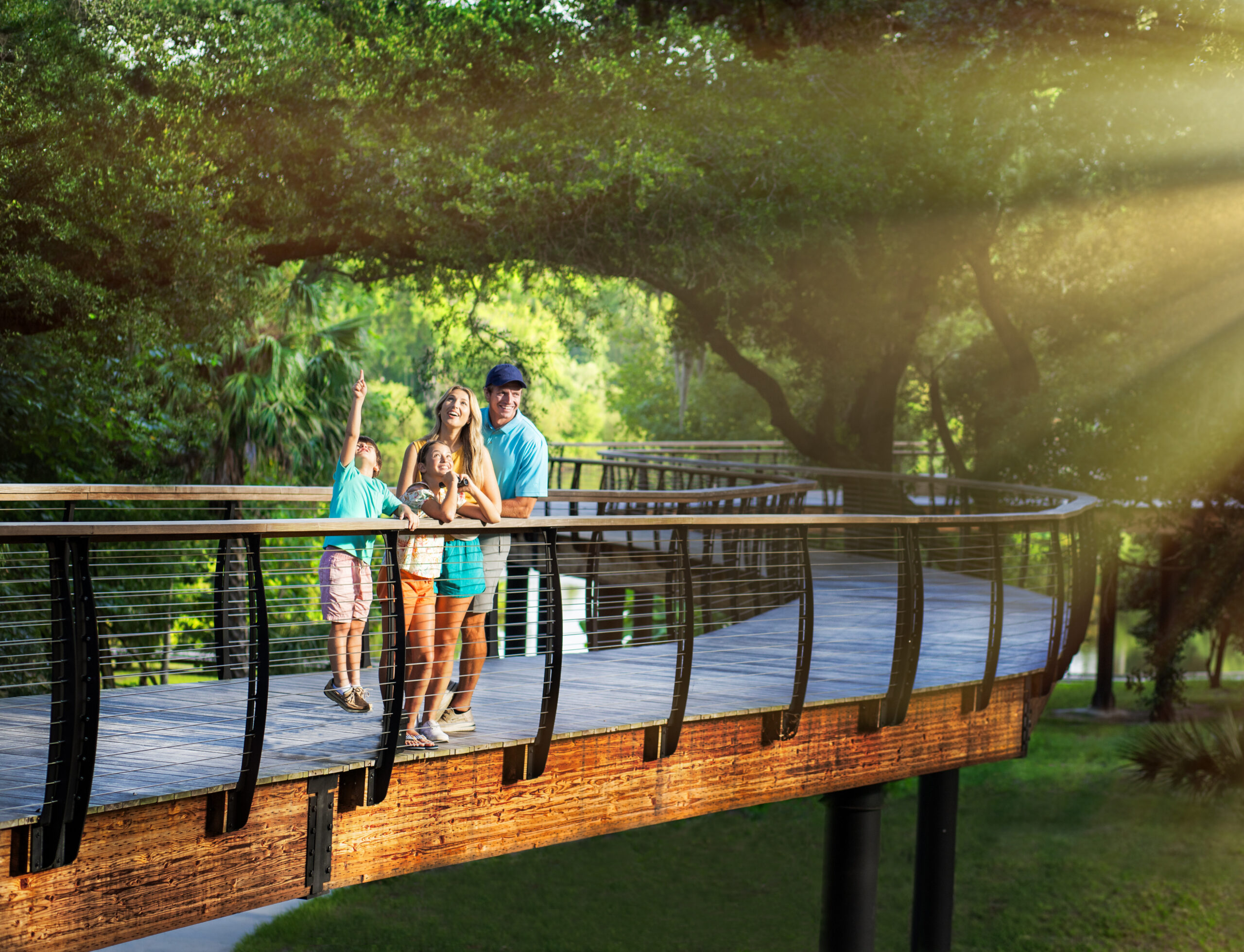 Lakeland Day Trip Guide: Best Things to Do, Eat & See in Central Florida's Swan City cover photo collage