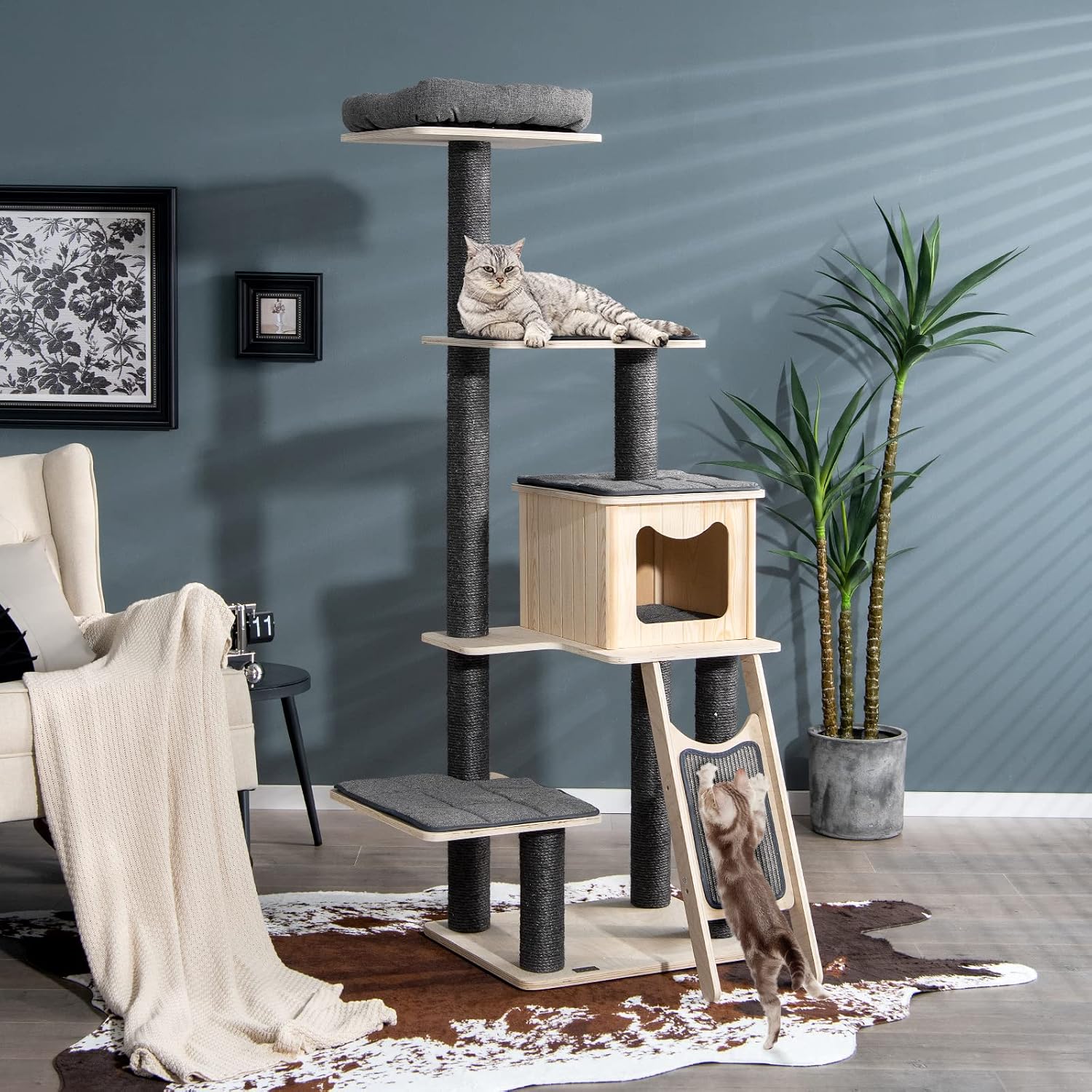 Purrrfectly Practical - Cat Care Essentials cover photo collage