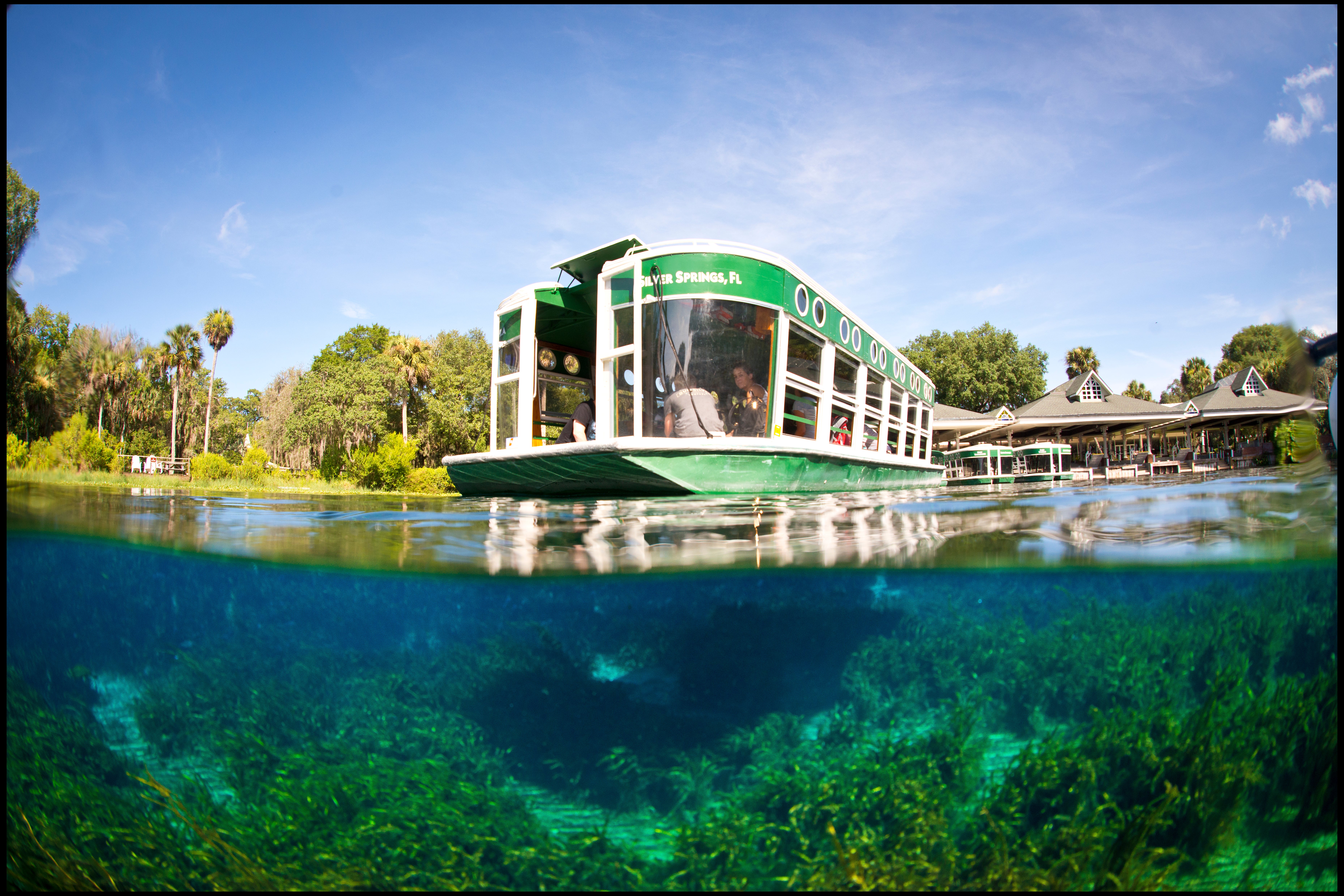 Ocala & Silver Springs Day Trip Guide: Glass-Bottom Boats, Springs & Horse Country Near Orlando cover photo collage