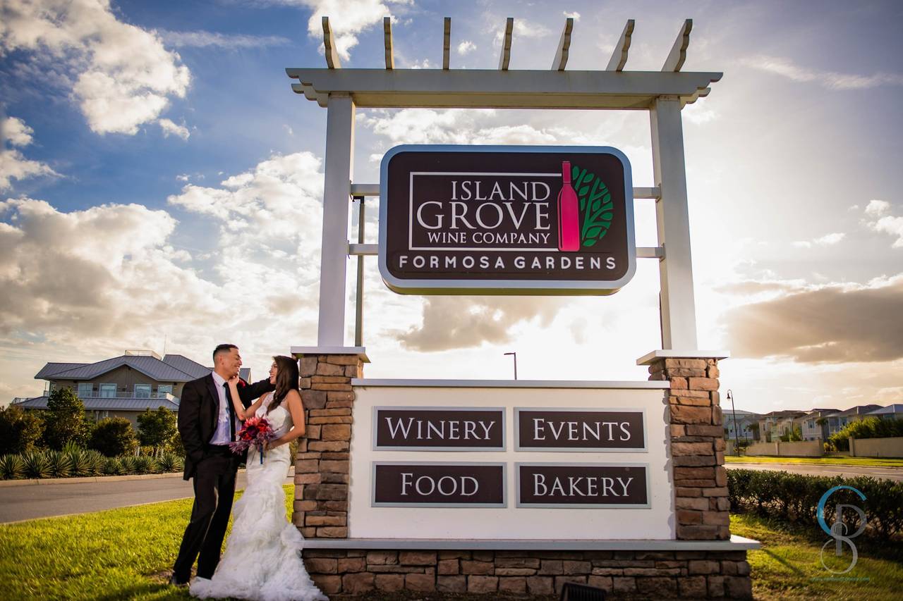 Best Wineries & Tasting Rooms Near Orlando: A Local's Guide to Central Florida Wine Country cover photo collage