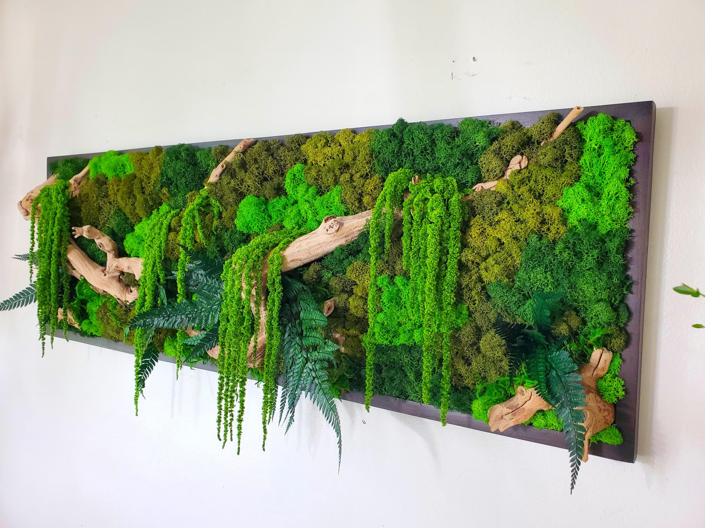 🌿 Greenery & Plant Wall Decor for a Fresh, Cozy Home cover photo collage