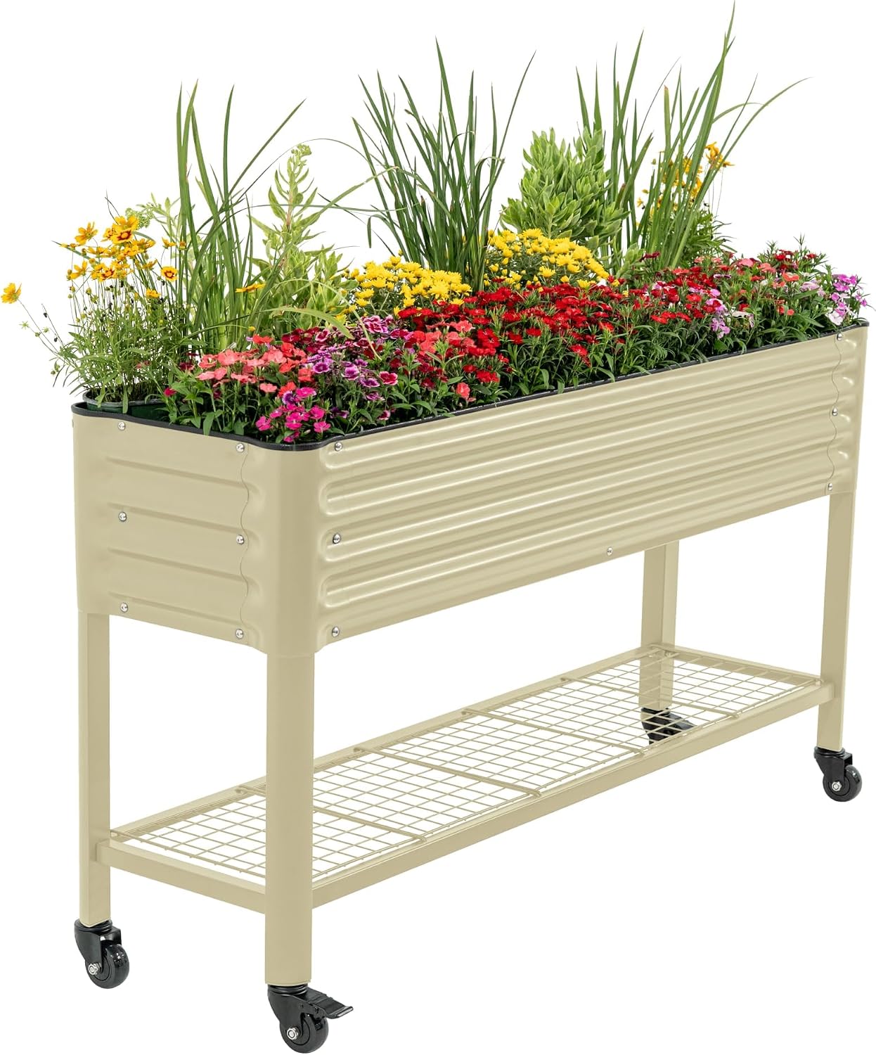 Gardening Essentials | Tools, Seeds, Soil & Must-Haves for a Thriving Garden cover photo collage