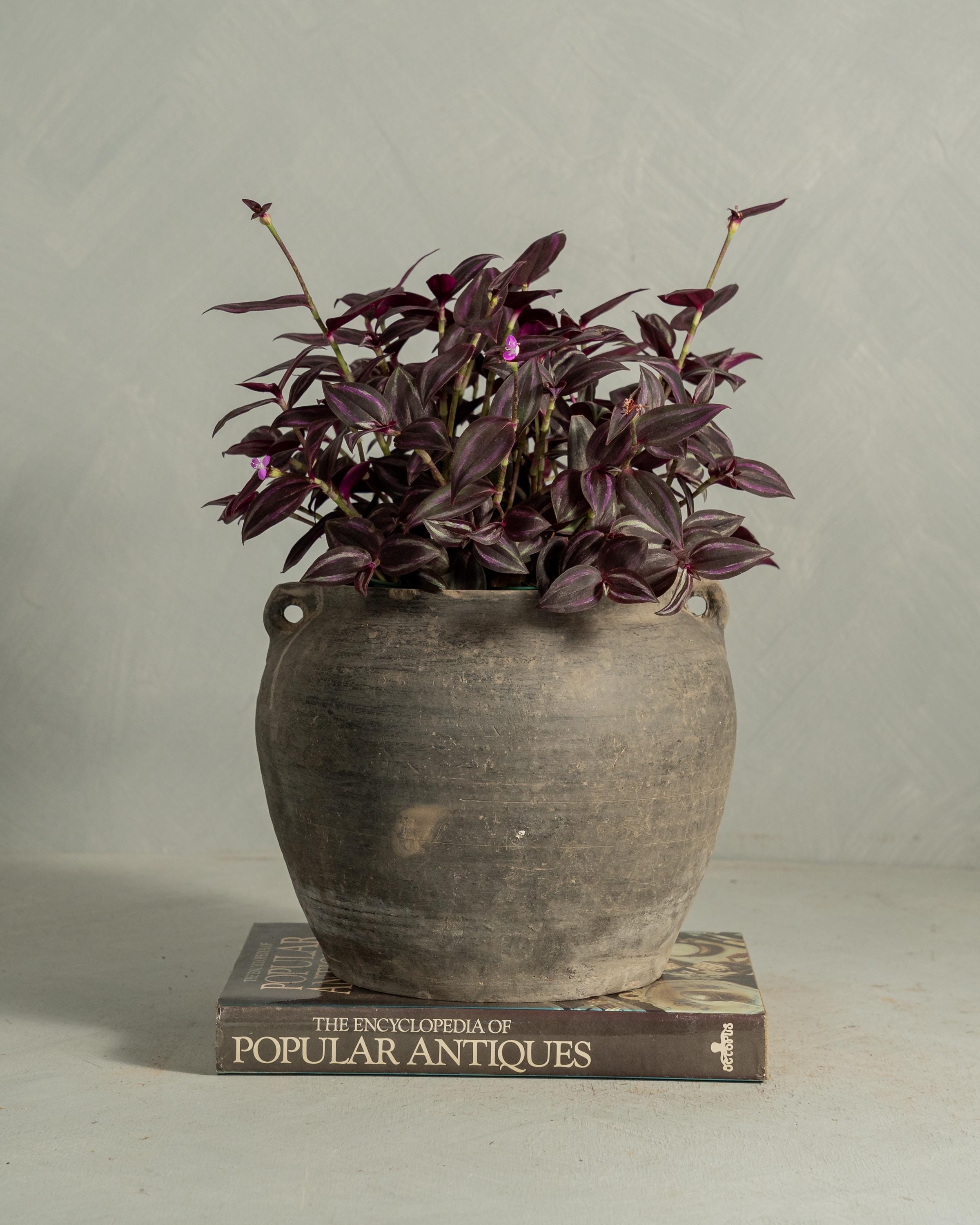 The Found Objects Edit: Rustic & Vintage Planters cover photo collage