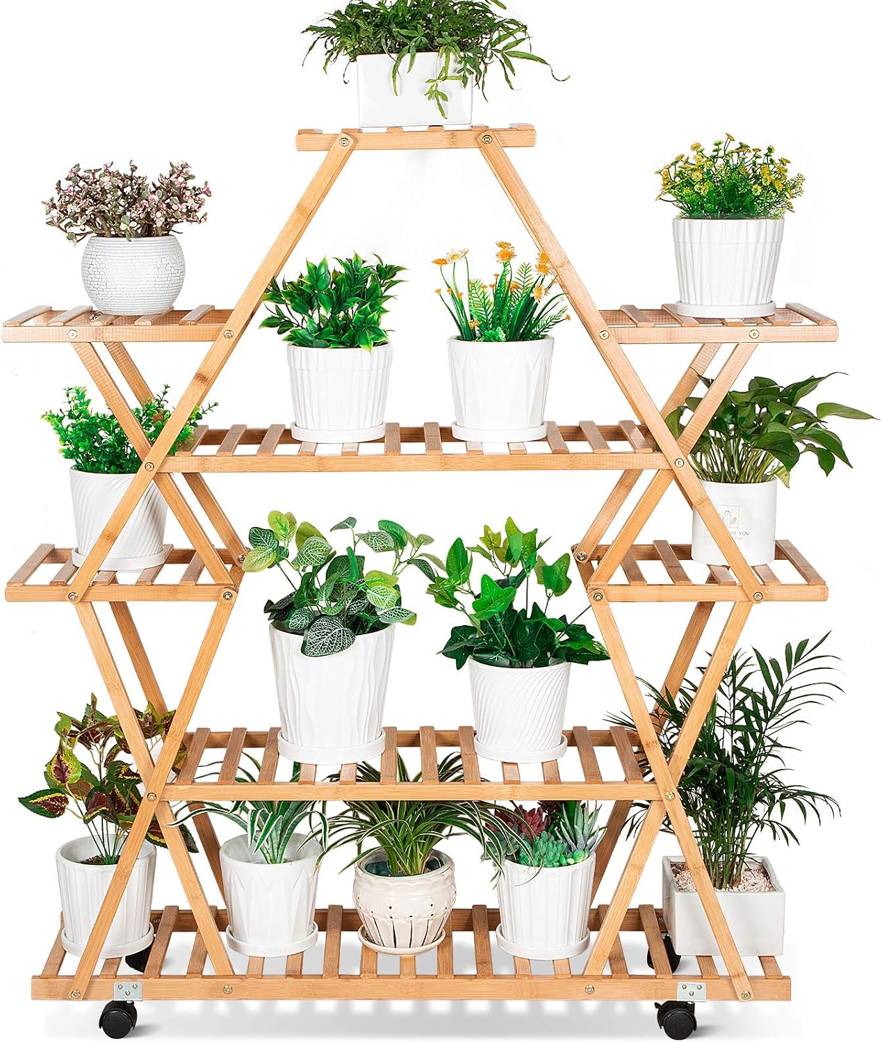 Everything plants 🪴 cover photo collage
