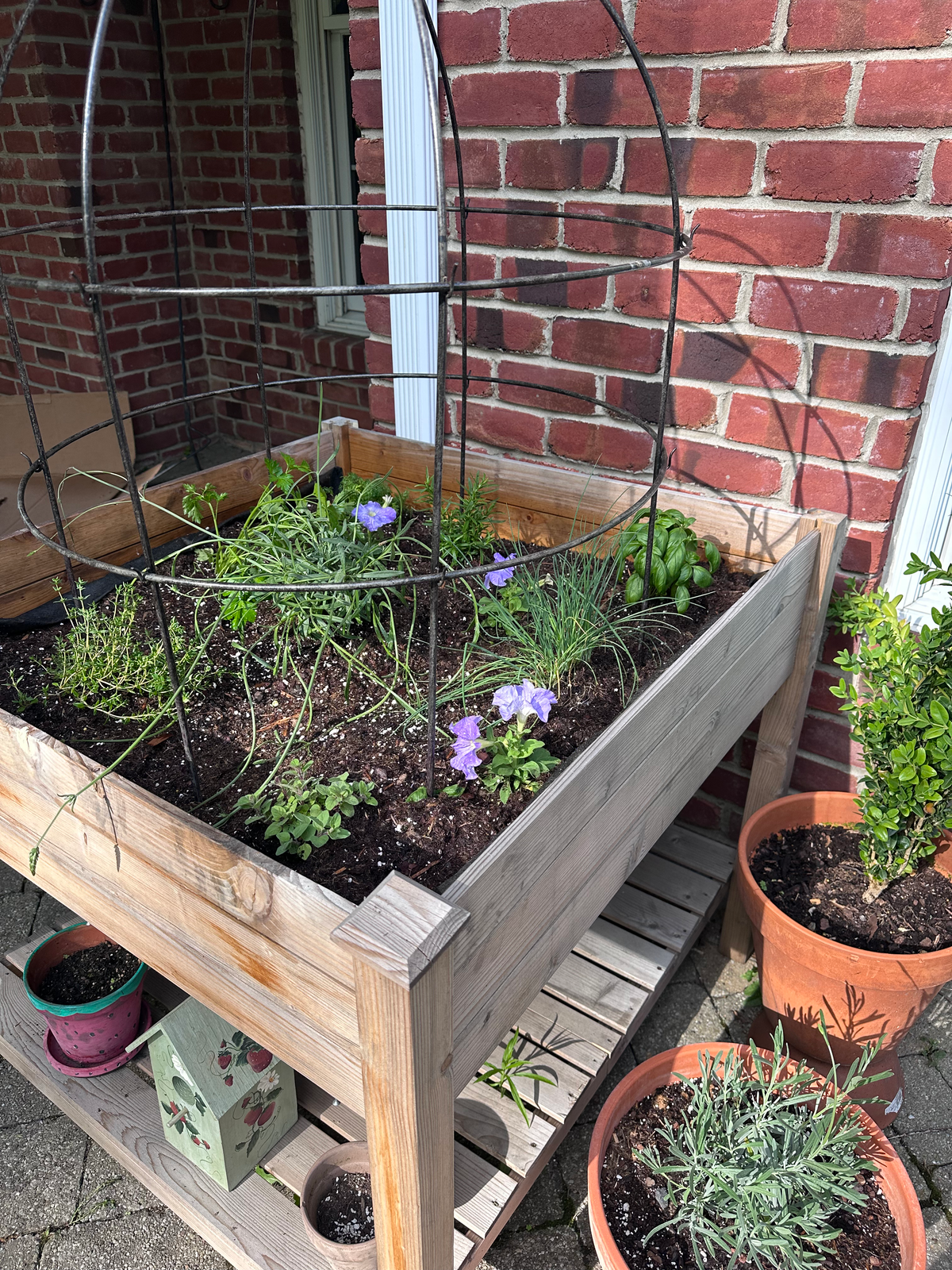 How to: a french-inspired herb garden cover photo collage