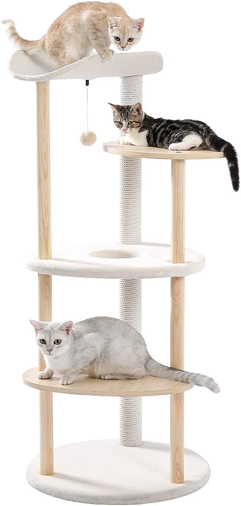 30 Must-have Items for Dogs & Cats Lovers 🐾🤍 cover photo collage