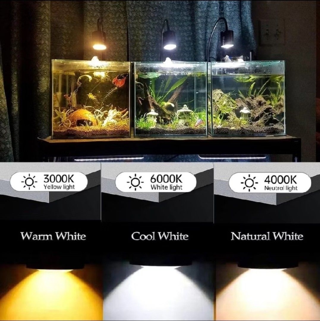 Fish tank must haves cover photo collage