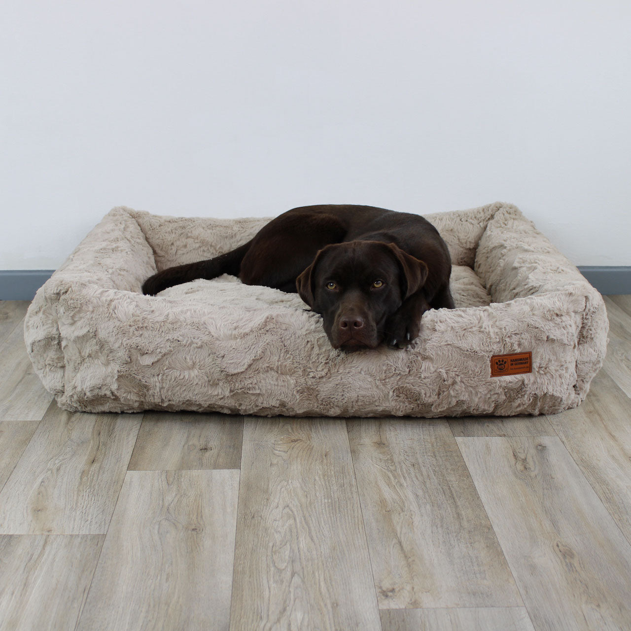 Essentials for dogs and their humans cover photo collage