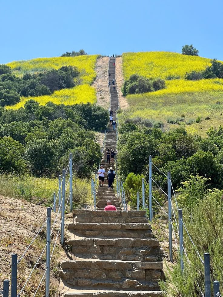 For the SoCal Girlies Who Hike 🥾🌼 cover photo collage