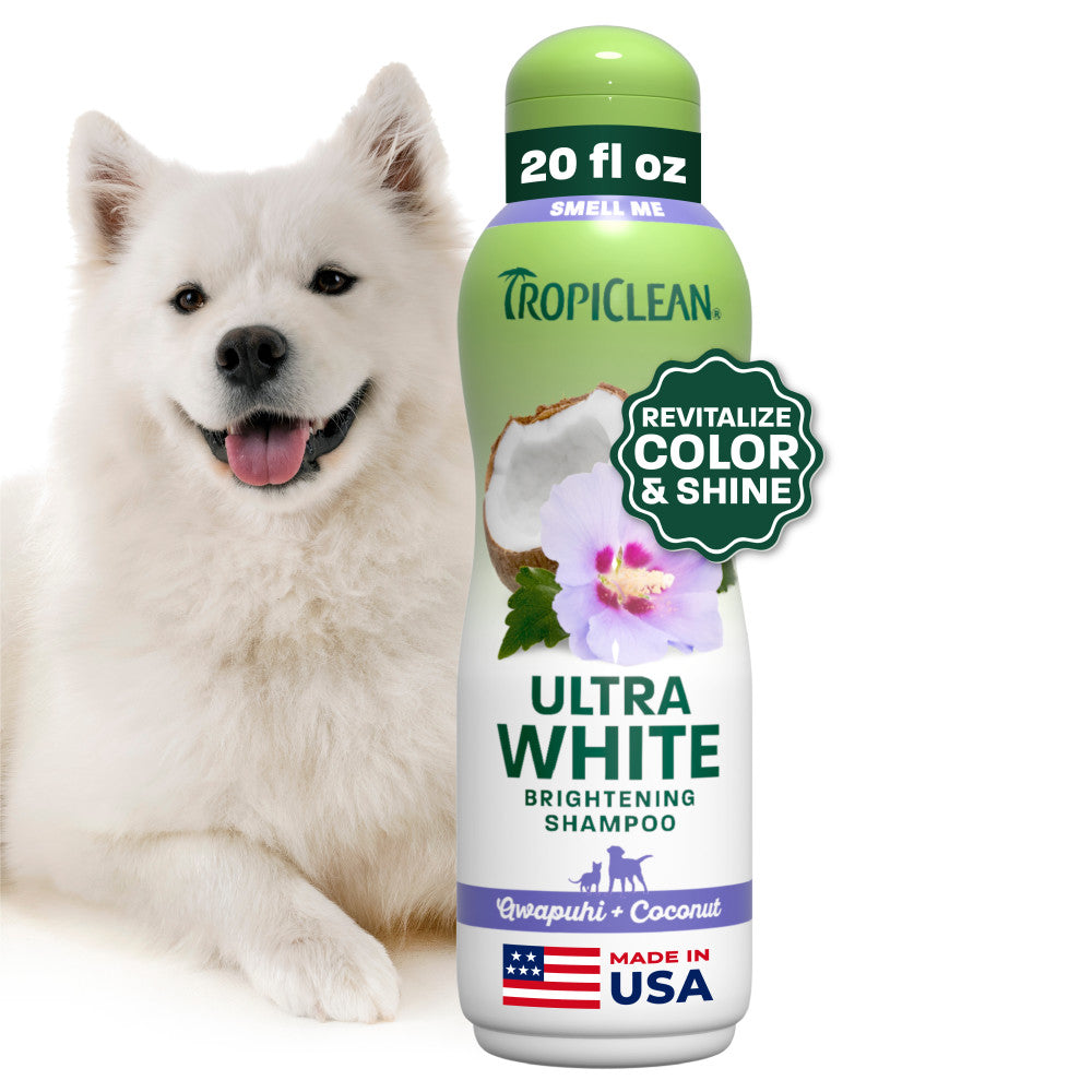 Dog Grooming and Pampering Products cover photo collage