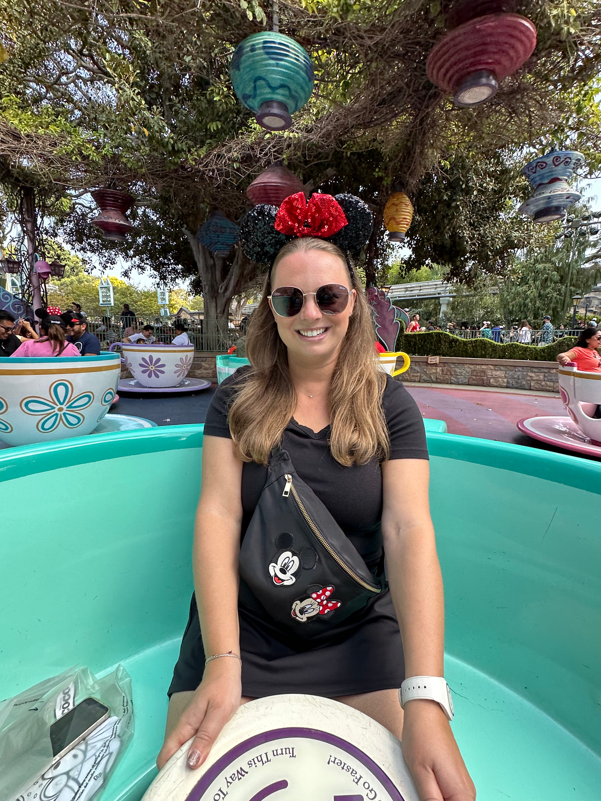 Disney Park Bag Essentials ✨ cover photo collage