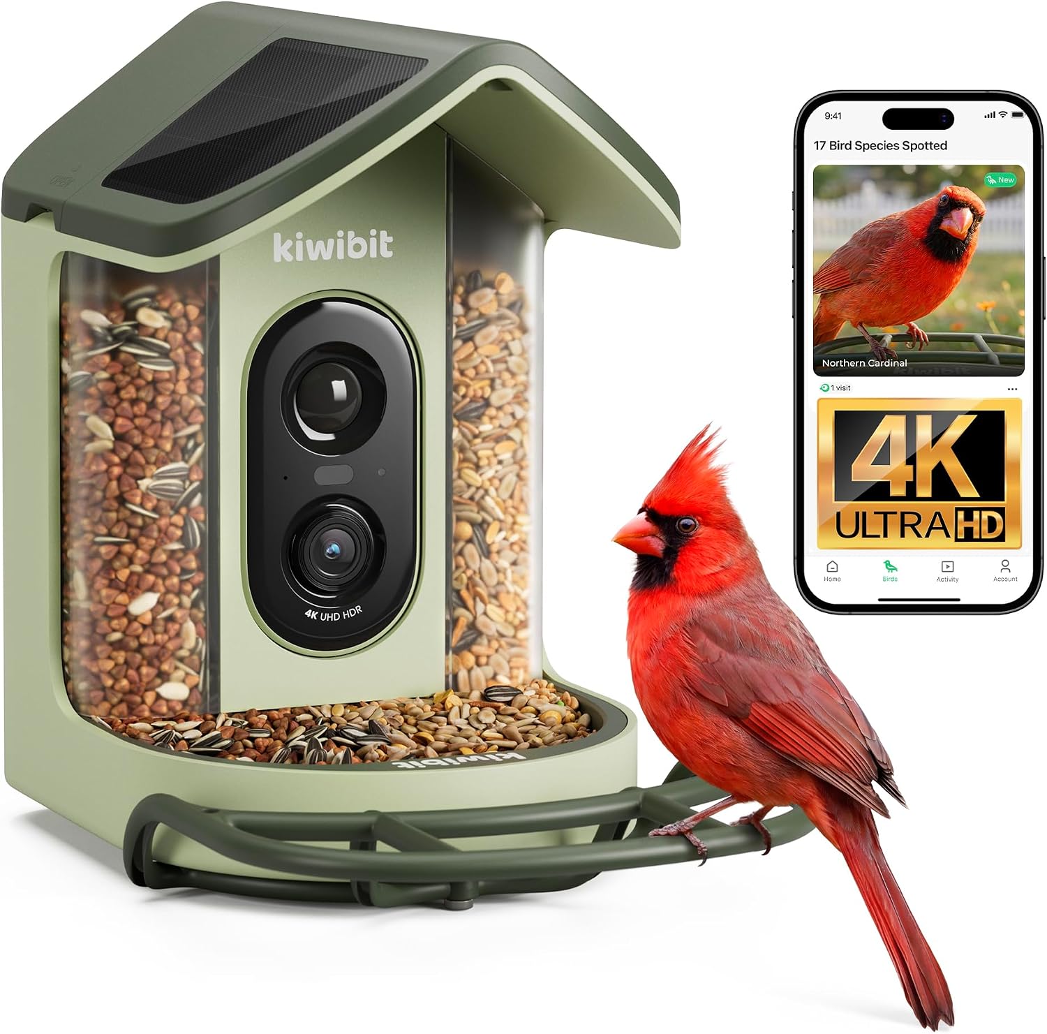 Stuff I Hide From My Bank App cover photo collage