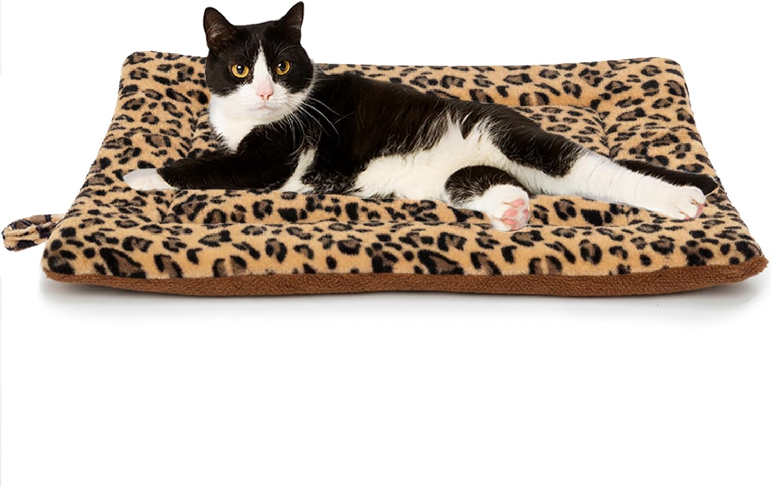 My cats wish list cover photo collage