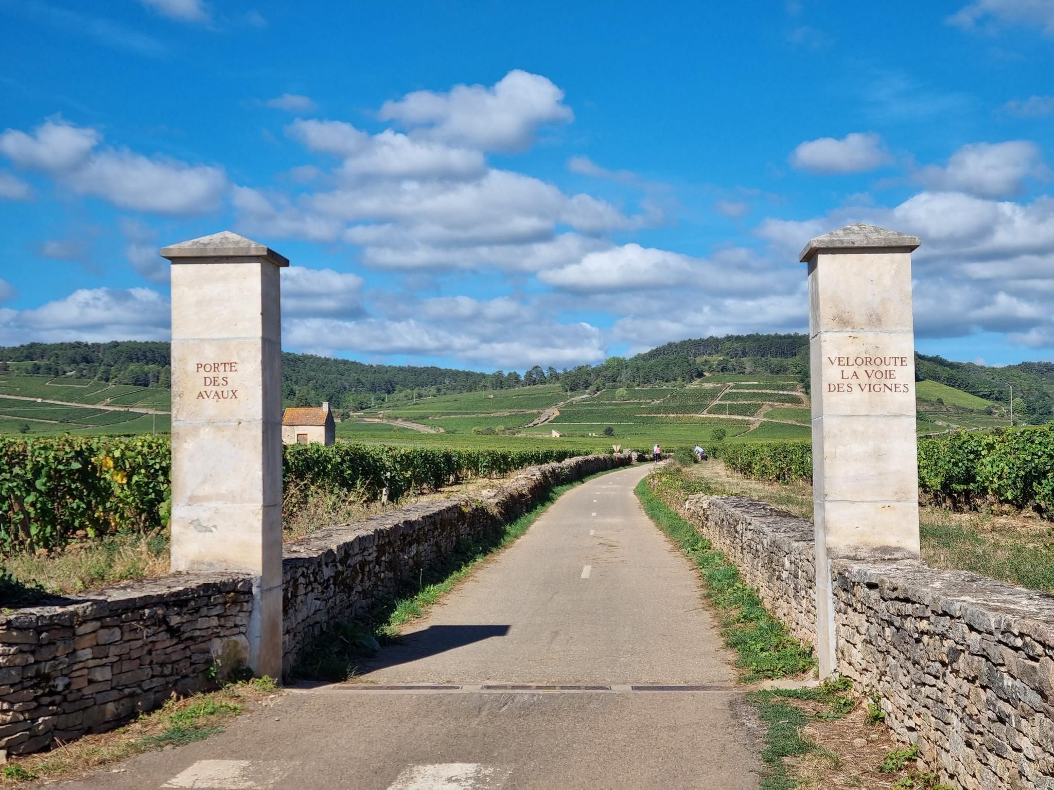 Beaune, France: Vineyards, Wanders, And Places To Stay cover photo collage