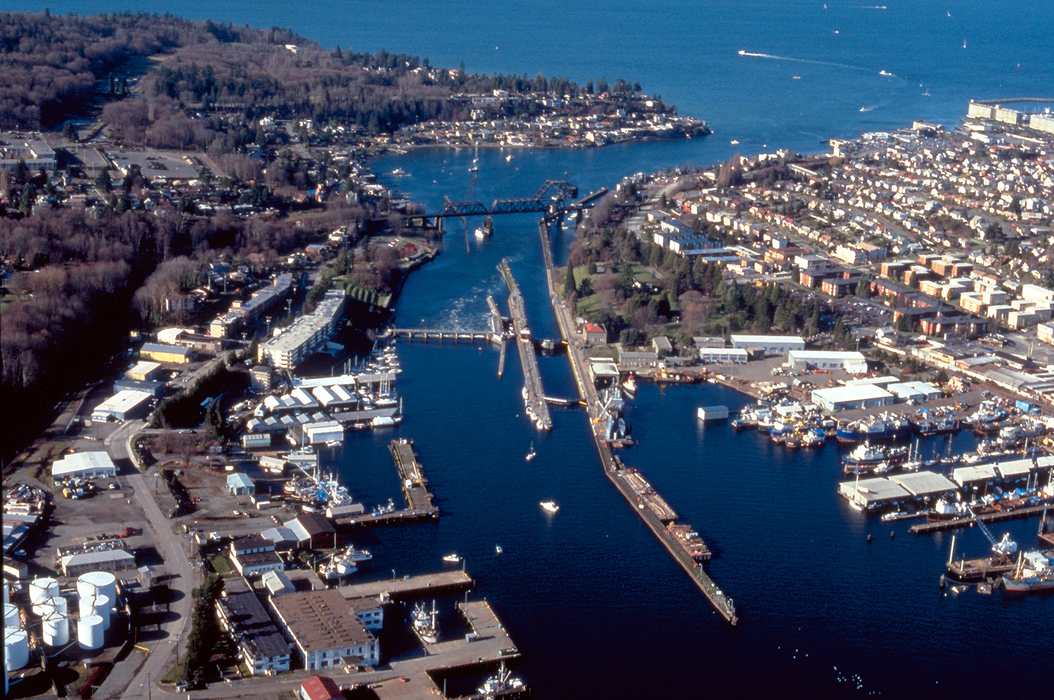 ⚓ Ballard & Fremont: My Seattle Favorites cover photo collage